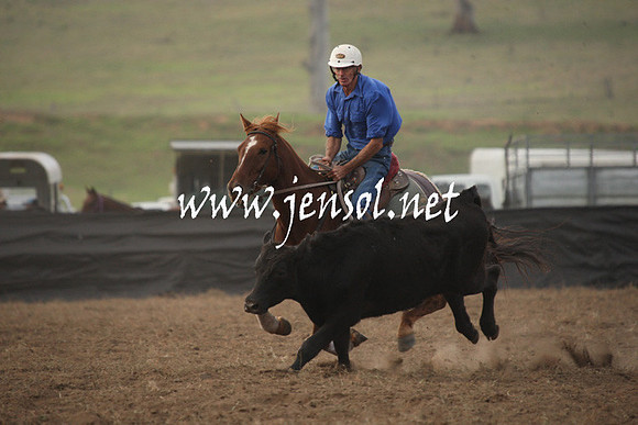 CabanandraCampdraft2013_1D_0108