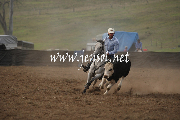 CabanandraCampdraft2013_1D_0116