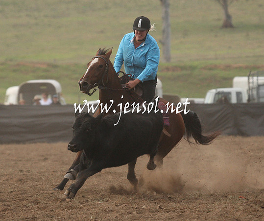CabanandraCampdraft2013_1D_0076