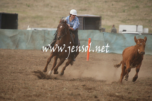 CabanandraCampdraft2013_1D_0022