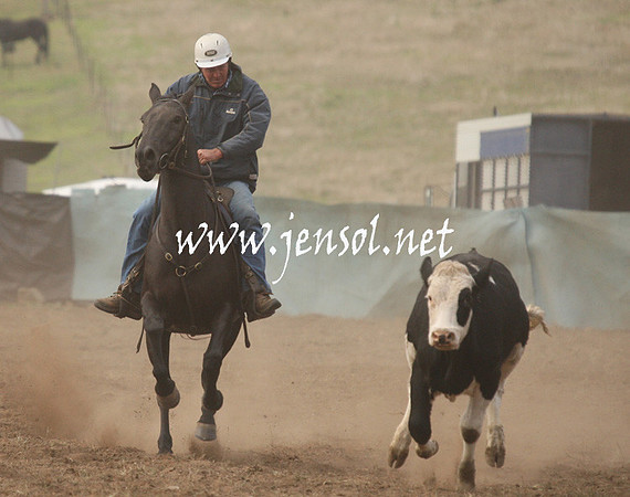 CabanandraCampdraft2013_1D_0043