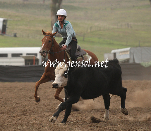 CabanandraCampdraft2013_1D_0059