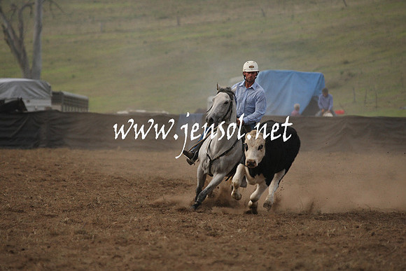 CabanandraCampdraft2013_1D_0121