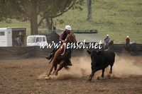 CabanandraCampdraft2013_1D_0007