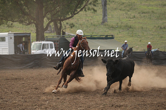 CabanandraCampdraft2013_1D_0007