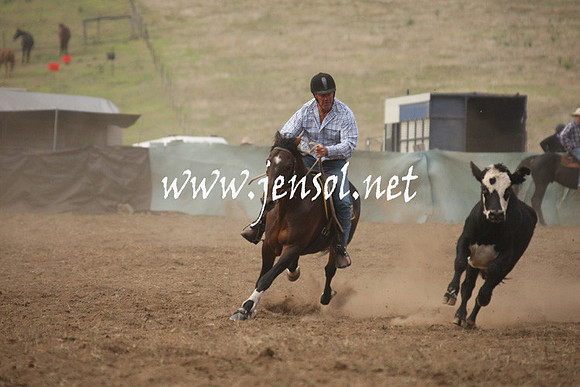 CabanandraCampdraft2013_1D_0050