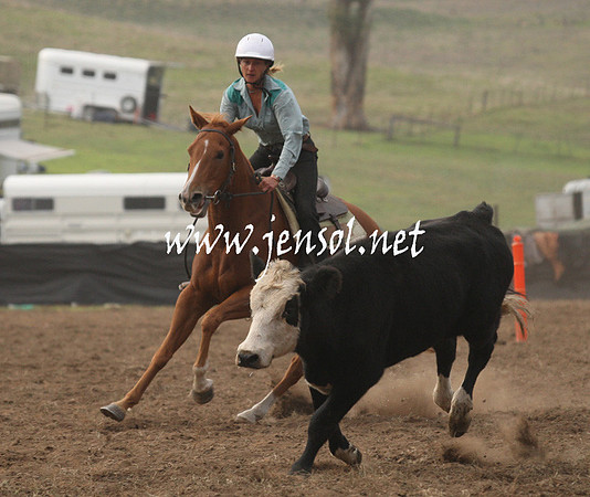 CabanandraCampdraft2013_1D_0060