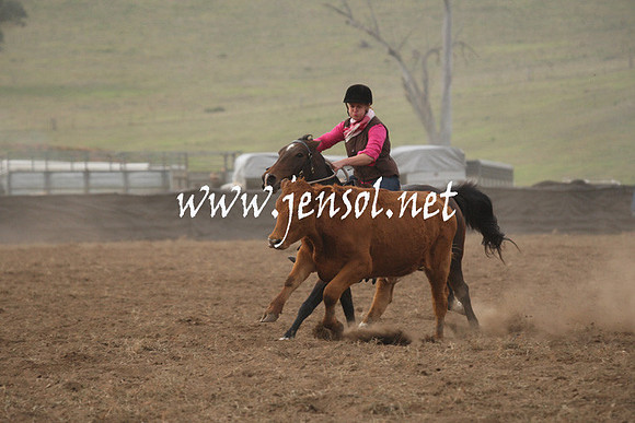 CabanandraCampdraft2013_1D_0098