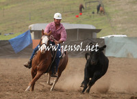CabanandraCampdraft2013_1D_0025
