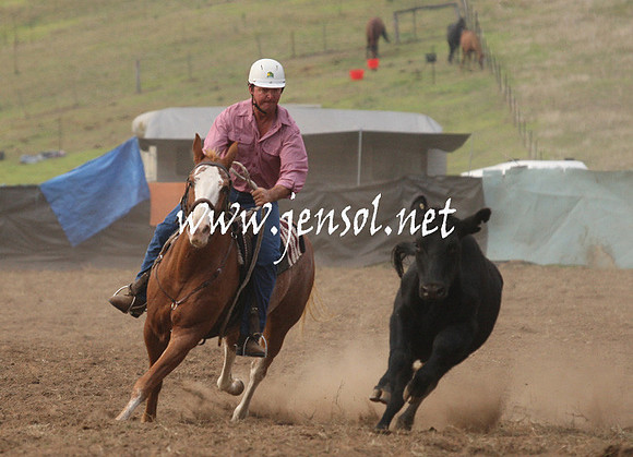 CabanandraCampdraft2013_1D_0025