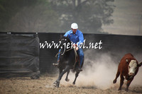 Saturday Novice