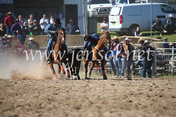 BungendoreRodeo2016-3985