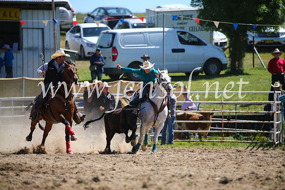 BungendoreRodeo2016-391