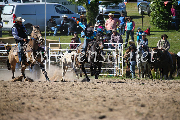 BungendoreRodeo2016-3974