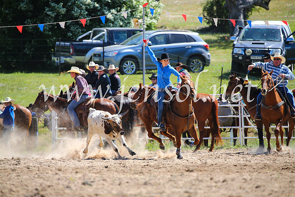 BungendoreRodeo2016-407