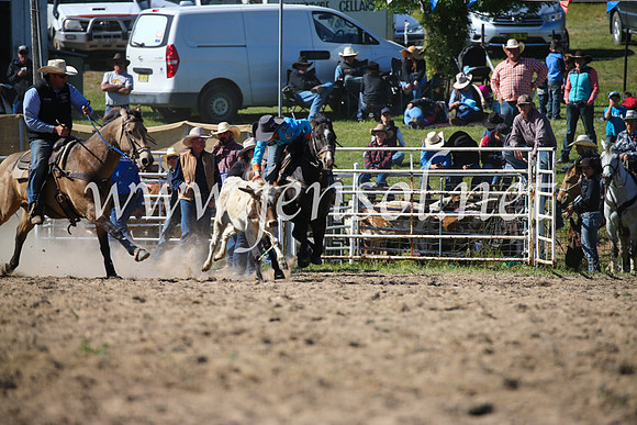 BungendoreRodeo2016-3975