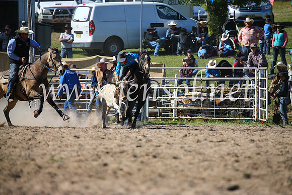BungendoreRodeo2016-3982