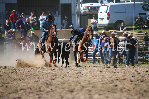 BungendoreRodeo2016-3984