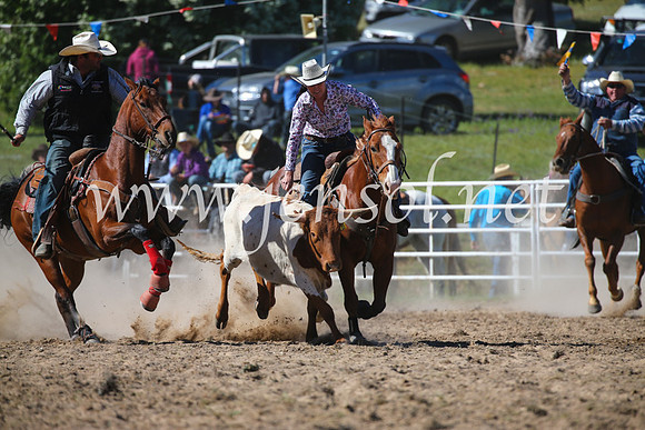 BungendoreRodeo2016-3970