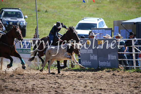 BungendoreRodeo2016-188