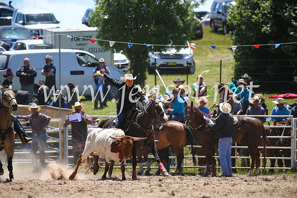 BungendoreRodeo2016-1580