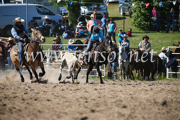 BungendoreRodeo2016-3973