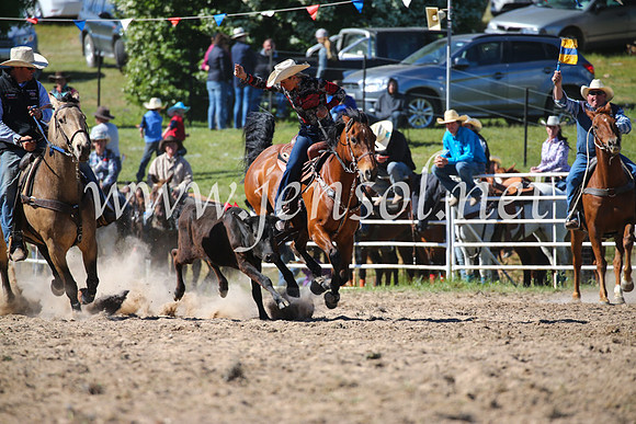 BungendoreRodeo2016-3948