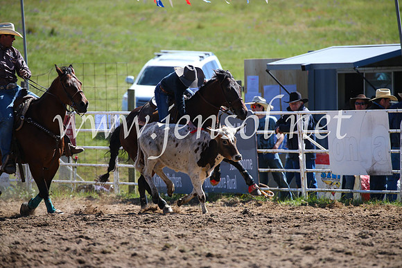 BungendoreRodeo2016-179