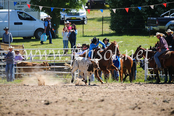 BungendoreRodeo2016-405