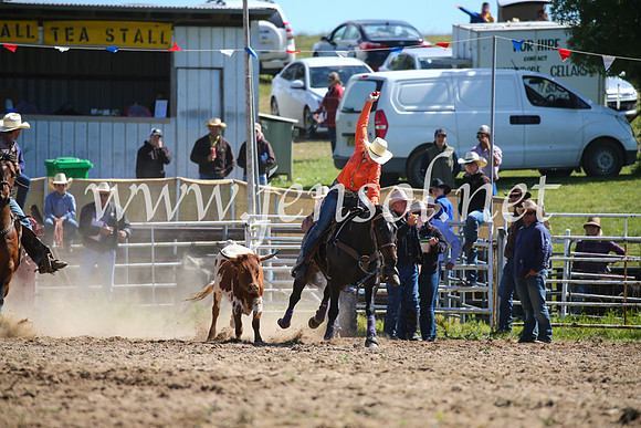 BungendoreRodeo2016-243