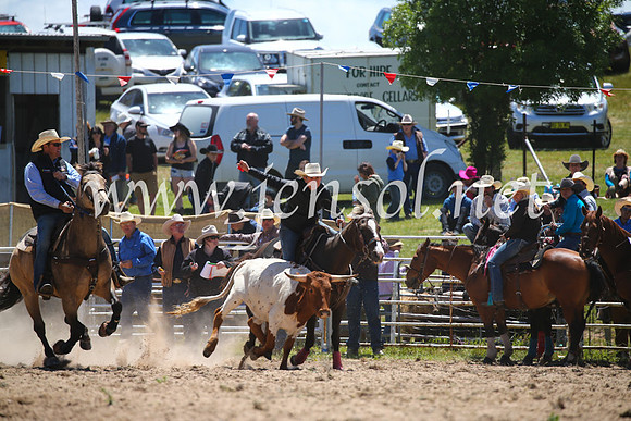 BungendoreRodeo2016-1576