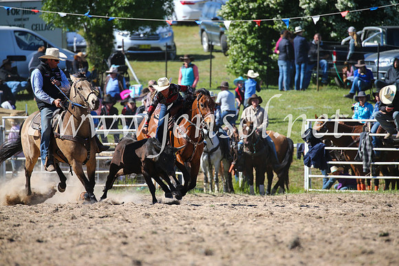BungendoreRodeo2016-3949
