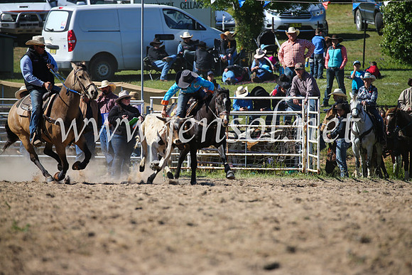 BungendoreRodeo2016-3976