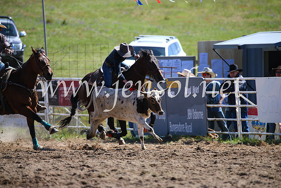 BungendoreRodeo2016-177