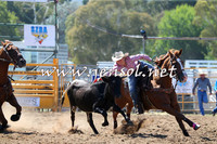 QueanbeyanRodeo2015_1015