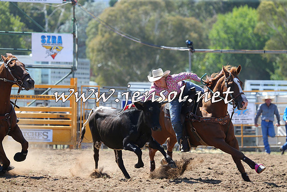 QueanbeyanRodeo2015_1015