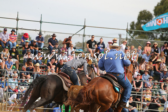 QueanbeyanRodeo2015_3095
