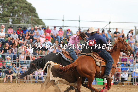QueanbeyanRodeo2015_3079