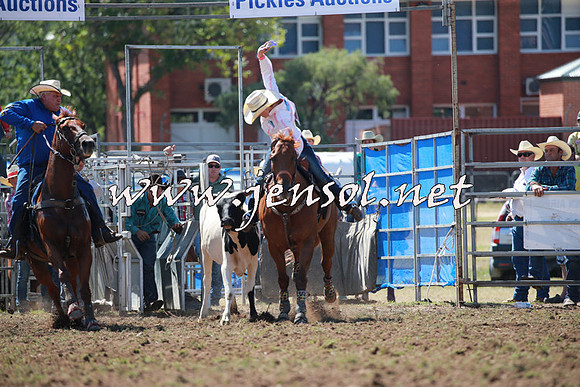 QueanbeyanRodeo2016_4655