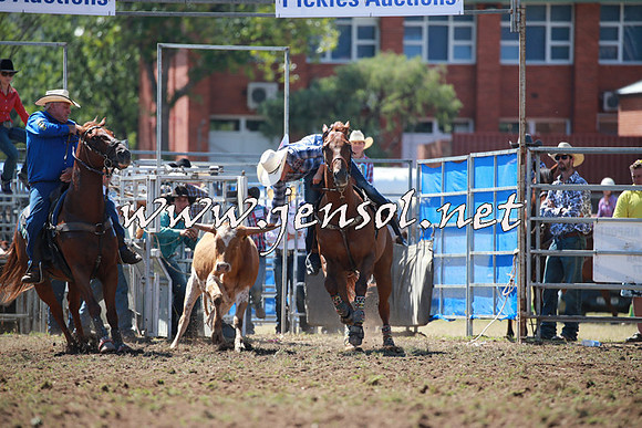 QueanbeyanRodeo2016_4649