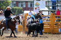 Steer Undecorating