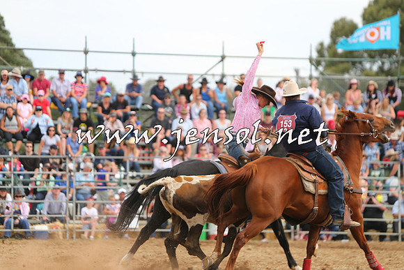 QueanbeyanRodeo2015_3083