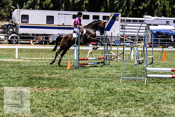 Fri_Showjumping503