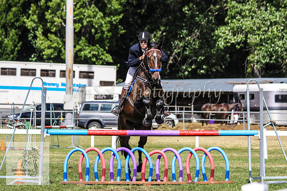 Fri_Showjumping222