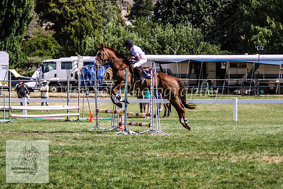 Fri_Showjumping734