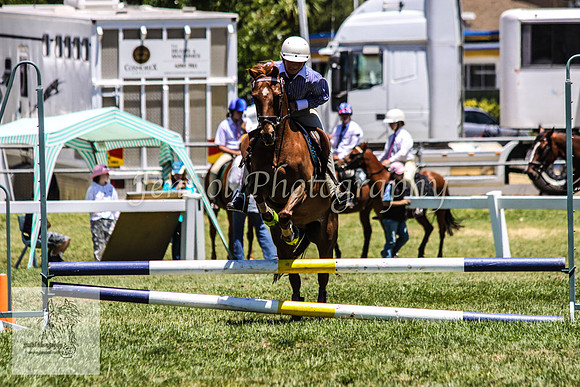 Fri_Showjumping510