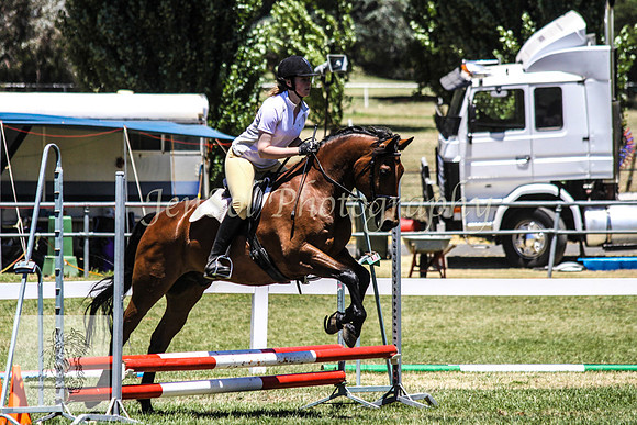 Fri_Showjumping516