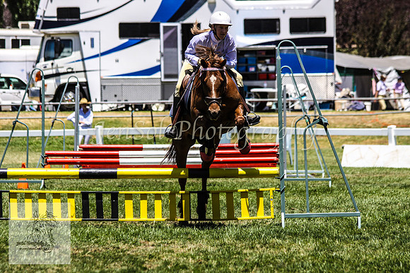 Fri_Showjumping556