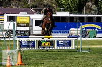 Fri_Showjumping030