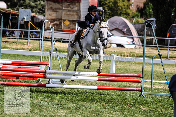 Fri_Showjumping721